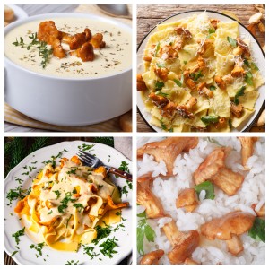 Bowl of soup, and pasta dishes with chanterelle mushrooms.